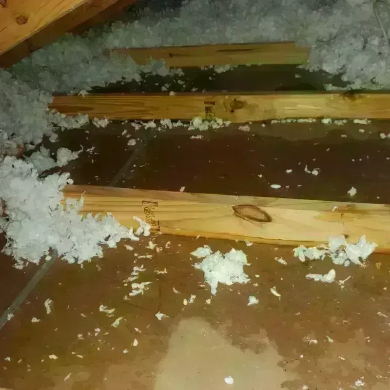 Attic Water Damage in Oxford, KS