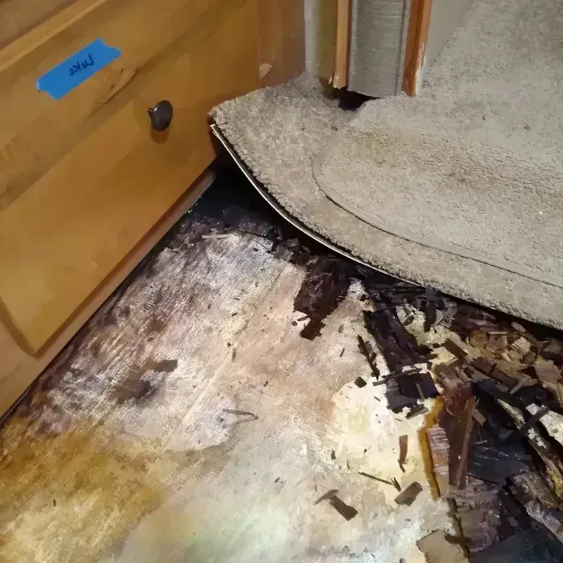 Wood Floor Water Damage in Oxford, KS